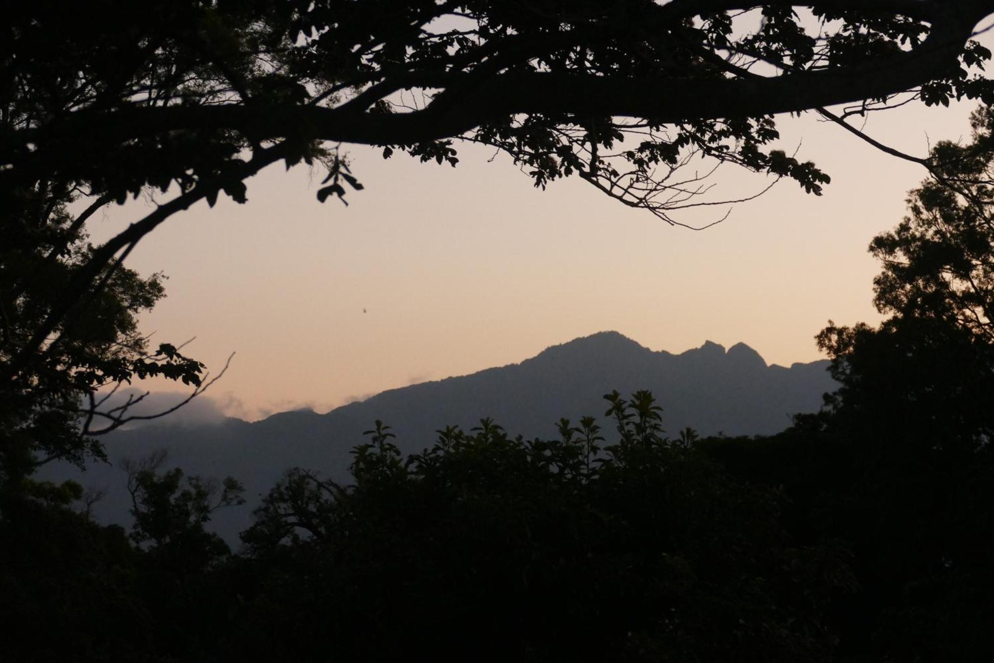Casitas Vista Verde Bajo Boquete Εξωτερικό φωτογραφία